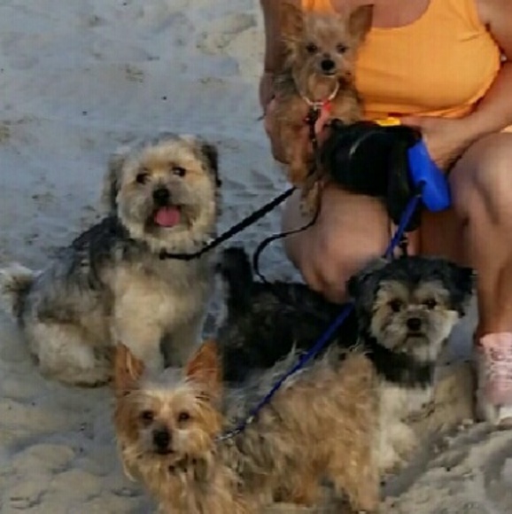 Meet your Posher, Amye - Picture 1 of 1