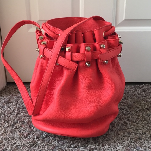 💥💥💥SOLD💥💥💥Alexander Wang Coral Diego Bag