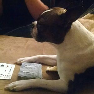 Meet your Posher, Lori