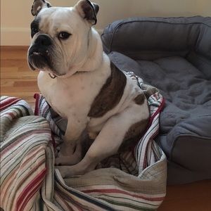 Meet your Posher, Beth