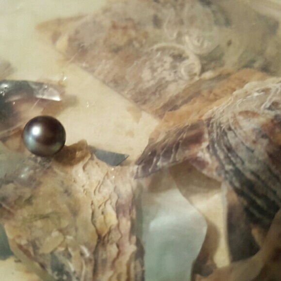 Authentic Blue Pearl