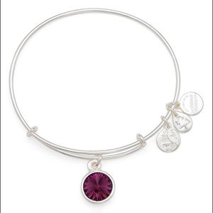 Alex and Ani Charm Bangle