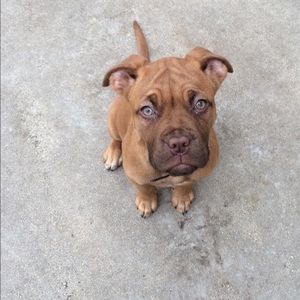 Meet your Posher, Stacie