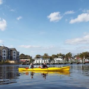 Meet your Posher, Jayne