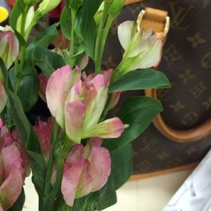 Meet your Posher, Hiroko