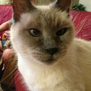 Meet your Posher, Julie