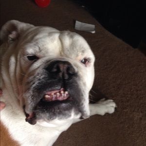 Meet your Posher, Cindy