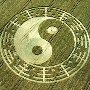 Meet your Posher, Isaac