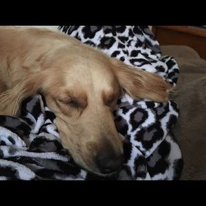 Meet your Posher, Brooklyn