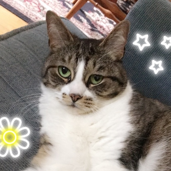 Hello and Welcome to My Closet ๐ - Picture 4 of 4