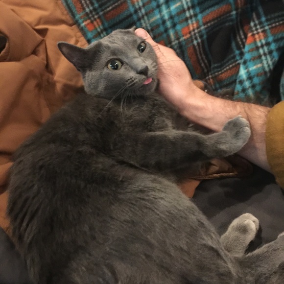 Meet your Posher, Meghan - Picture 1 of 1