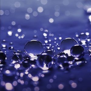 Meet your Posher, Beverly