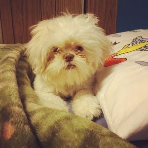 Meet your Posher, Caralie