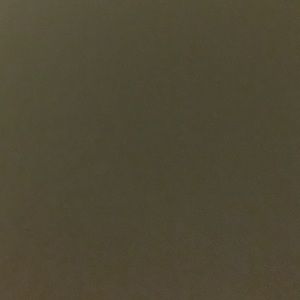 Meet your Posher, Kiara