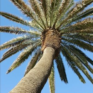 Meet your Posher, Krista