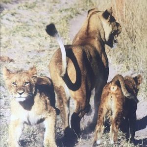 Meet your Posher, Erinne