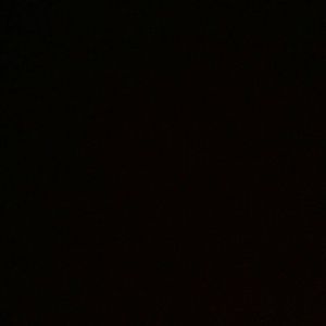 Meet your Posher, Zylena