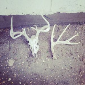 Meet your Posher, Masen