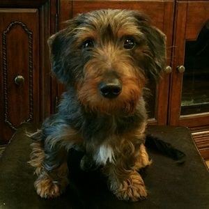 Meet your Posher, Michael