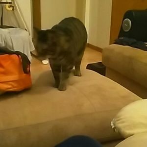 Meet your Posher, Seth