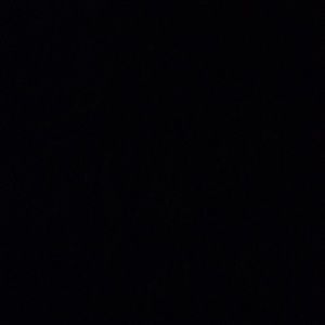 Meet your Posher, Bella