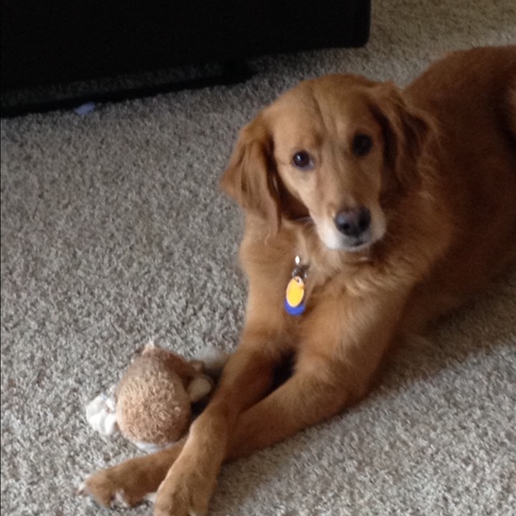 Meet your Posher, Mary ellen