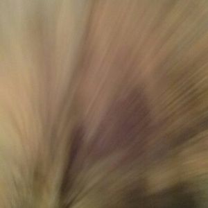 Meet your Posher, Shane