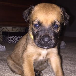 Meet your Posher, Mariah