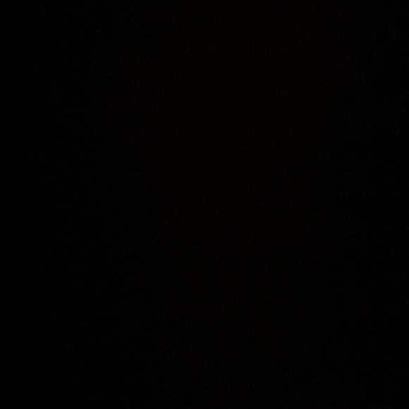 Meet your Posher, Josie - Picture 1 of 1