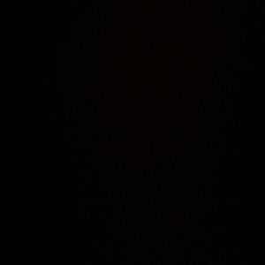 Meet your Posher, Josie