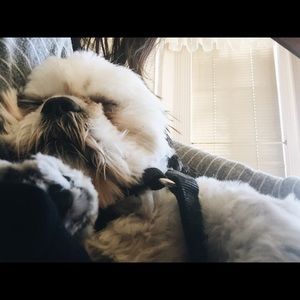 Meet your Posher, Melissa