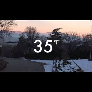 Meet your Posher, Peiton