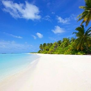 Meet your Posher, Ashante