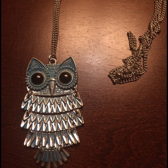 Turquoise and Silver Owl Necklace NWOT