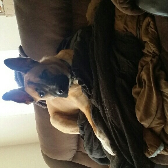 Meet your Posher, Kayla - Picture 1 of 1