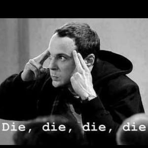 Meet your Posher, Corin