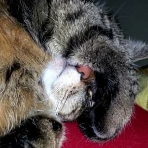 Meet your Posher, Layla