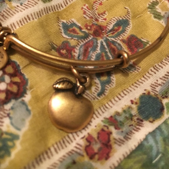 ✅SOLD✅💰PRICE DROP💰Alex & Ani Apple - Picture 2 of 4