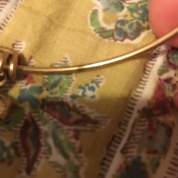 ✅SOLD✅💰PRICE DROP💰Alex & Ani Apple - Picture 3 of 4