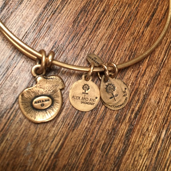 ✅SOLD✅💰PRICE DROP💰Alex & Ani Apple - Picture 4 of 4