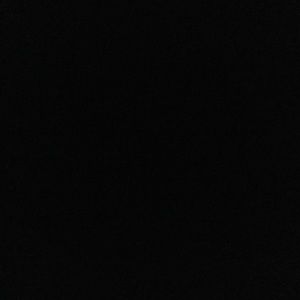 Meet your Posher, Callie