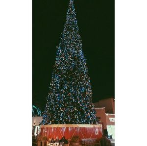 Meet your Posher, Lizbeth