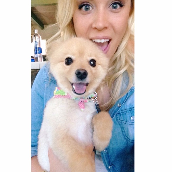 🌟👑New listings & PRICE DROPS👑🌟 - Picture 2 of 7