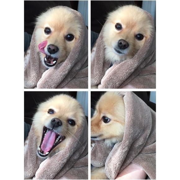 🌟👑New listings & PRICE DROPS👑🌟 - Picture 4 of 7