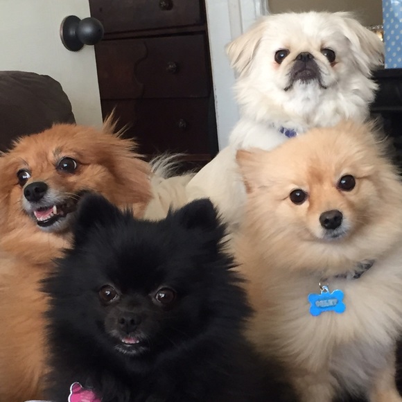 🌟👑New listings & PRICE DROPS👑🌟 - Picture 5 of 7