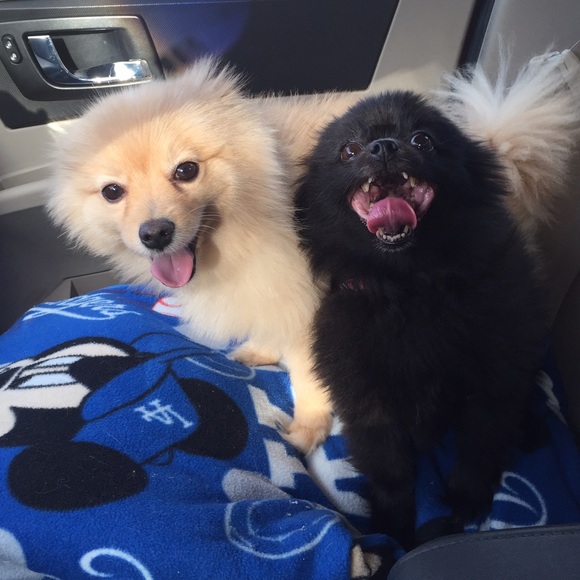 🌟👑New listings & PRICE DROPS👑🌟 - Picture 6 of 7