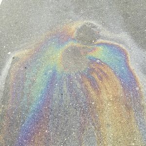 Meet your Posher, Bianca