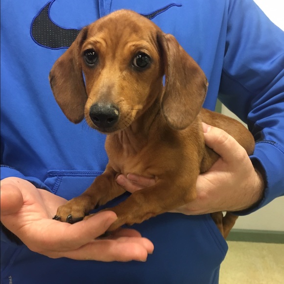 About Your Seller/Buyer Ashley! - Picture 3 of 3