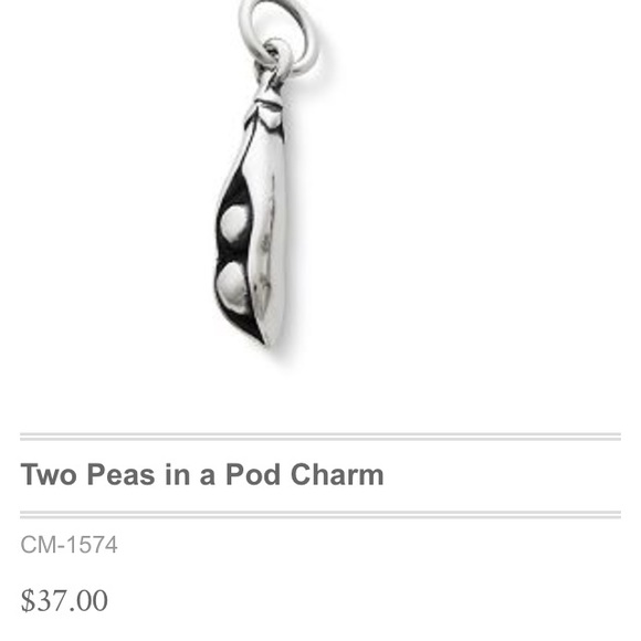 AUTHENTIC James Avery Charm