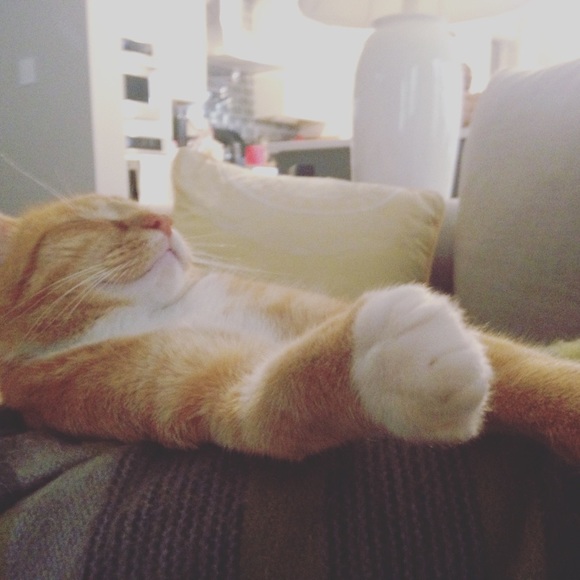 Meet your posher! - Picture 2 of 4